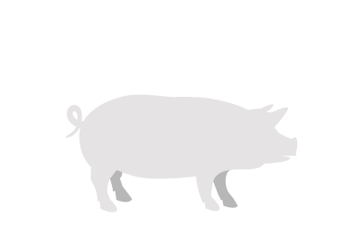 Svinje